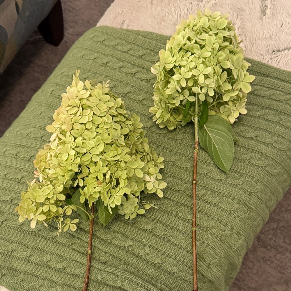 Green Hydrangea Floral Accent; one stem only